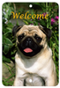 Pug Fawn - Best of Breed  Indoor/Outdoor Aluminum Sign