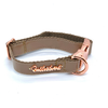Champagne Dog Collar - PuccissimePet000376
