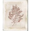 Sea Garden III Brown by Katie Pertiet, Canvas Art
