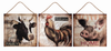 Pig/Cowith Rooster Wall Canvas (Set of 3) 17.5"SQ Canvas/MDF