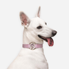 All Eyes On Me Collar - S000768B001554P000011V006