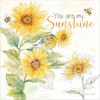 Be My Sunshine IV by Cynthia Coulter, Canvas Art - C1086542-0240000-YCEAAMA