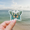 Butterfly retro With Math