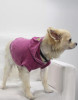Doggy Hoodie French Terry - S000341B001390P000003V020