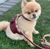 229105332.webp