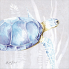 Sea Turtle I by Kelley Talent, Canvas Art
