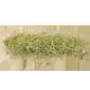 Tillandsia Air Plant Usneoides Spanish Moss