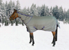 TuffRider Major Ballistic 1200D 360gms Heavy Weight Turnout Blanket with Detachable Neck - S001797B002239P002122V006