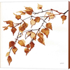 Colors of the Fall VIII by Anne Tavoletti, Canvas Art - C1071042-0240000-YCDAAMA