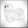 Shih Tzu - Ani-005-3