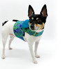 DCNY "Pretty in Paisley" Vest-Style Harness - dcny-bgpvest-xs