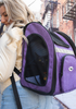 The Backpacker Pet Carrier - S000649B001467P000038V003
