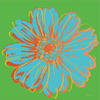 Flower Pop Art II by Marie-Elaine Cusson, Canvas Art - C1080271-0240000-8CAAAMA