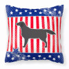 USA Design with Dog Fabric Decorative Pillow - S000213B001695P073234V000