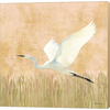 Egret Alighting II Flipped by Kathrine Lovell, Canvas Art - C1075533-0240000-8CCQAMA