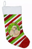Holiday Dog on Christmas Stocking - S000213B001695P002197V530