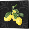 Live with Zest I by Tara Reed, Canvas Art