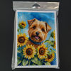 Norfolk Terrier in Sunflowers Greeting Cards Pack of 8
