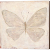 Fragility II by Julia Purinton, Canvas Art