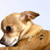 My Summertime Aviator Charm Toggle Necklace - BarkFifthAve2506