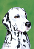 Dalmatian - Best of Breed Outdoor Portrait Flag Dalmatian - Best of Breed Outdoor Portrait Flag