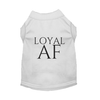 Loyal AF - S002142B002493P000480V017