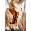 K9 Sport Harness