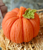 Pumpkin wax melts (solid) - S002633B002891P000137V094