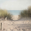 Beach Grasses by Pela Studio, Canvas Art