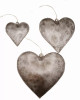 172407670.webp