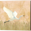 Egret Alighting II by Kathrine Lovell, Canvas Art