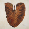 Amazonas I by Patricia Pinto, Framed Art