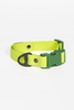 Mossy Pine Waterproof Dog Collar - S002668B002900P000048V001 Mossy Pine Waterproof Dog Collar - S002668B002900P000048V001