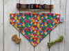 Over-The-Collar Dog Bandana - S001544B002104P000004V022