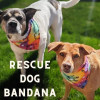 Over-The-Collar Dog Bandana - S001544B002104P000004V066