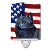 USA American Flag with Dog Ceramic Night Light - S000213B001695P102723V000