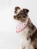 Buddy Dog Bandana - S001075B001763P000001V002