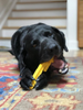ID Pipe Wrench  Ultra Durable Nylon Dog Chew Toy for Aggressive Chewers