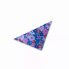 Dog Bandana - S001466B001977P000002V027