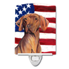 USA American Flag with Dog Ceramic Night Light - S000213B001695P103140V000