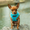 Mr. Peanut's PupTrek Small Dog/Cat Soft Mesh Step In Harness Vest - S001935B002421P000117V000