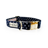 Independence Patriotic American Star Navy Buckle & Martingale Dog Collar - S002793B002925P000062V060
