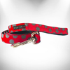 Polka Dot Dog Leads - S002145B002497P000023V019