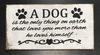 Dog Is The Only Thing On Earth That Loves You More Than He Loves Himself - S001724B002182P000203V002