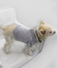 Doggy Hoodie - D125-ED-ASPH-1