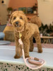 229122602.webp