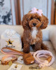229122603.webp