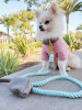 229122644.webp