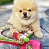 229122668.webp