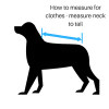 229106917.webp
